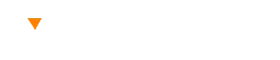 What Net Worth Now Logo